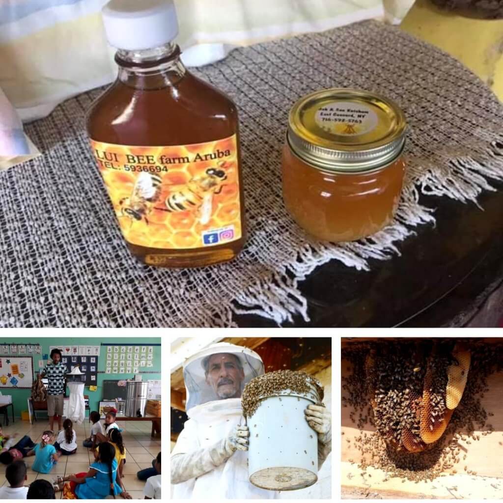 review-aruba-lui-bee-farm--eco-friendly-business-caribmedia-blog